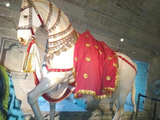 horse 1 inmarathi