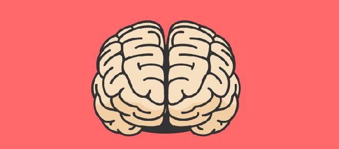 brain inmarathi