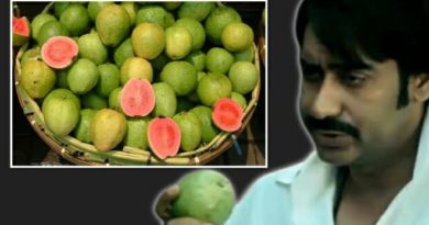 guava inmarathi feature