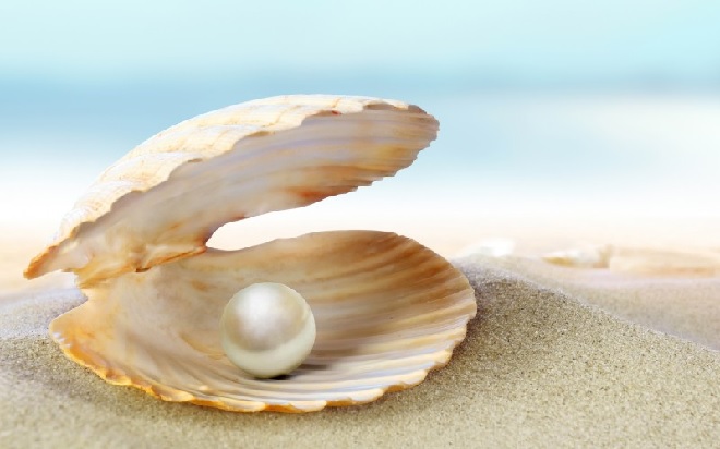 pearl inmarathi