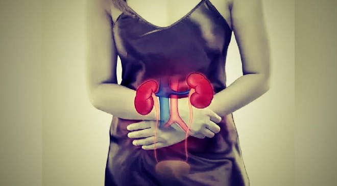 kidney im