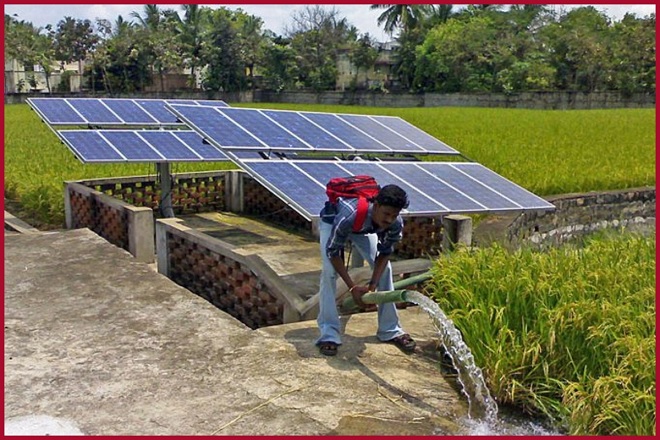 solar farming im
