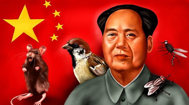 Mao sparrow killing final im